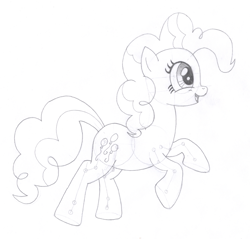 Size: 1564x1496 | Tagged: safe, artist:aafh, character:pinkie pie, species:earth pony, species:pony, female, monochrome, solo, traditional art