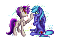 Size: 1240x877 | Tagged: safe, artist:cafecomponeis, oc, oc only, oc:cloud icicle, species:pony, boop, friendship, happy, simple background, sitting, smiling, white background