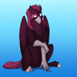 Size: 1000x1000 | Tagged: safe, artist:foxenawolf, oc, oc only, oc:hypotenuse, species:classical hippogriff, species:hippogriff, fanfic:quantum gallop, disguise, disguised changeling, fanfic art, shy, solo