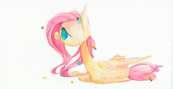 Size: 6768x3531 | Tagged: safe, artist:getchanoodlewet, character:fluttershy, species:pegasus, species:pony, absurd resolution, bee, female, flower, flower in hair, folded wings, long neck, looking at something, lying down, no pupils, on side, open mouth, solo, traditional art, wings