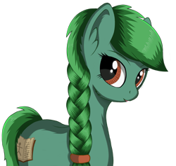 Size: 1567x1486 | Tagged: safe, artist:negasun, oc, oc only, oc:lonely day, species:earth pony, species:pony, braid, female, green fur, green hair, green mane, ponies after people, solo