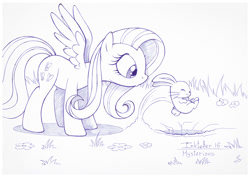 Size: 1073x759 | Tagged: safe, artist:sherwoodwhisper, character:angel bunny, character:fluttershy, species:pegasus, species:pony, species:rabbit, inktober, eyes closed, female, flower, grass, hole, inktober 2017, jumping, lineart, looking at something, male, mare, monochrome, outdoors, pen drawing, rabbit hole, spread wings, standing, traditional art, wings