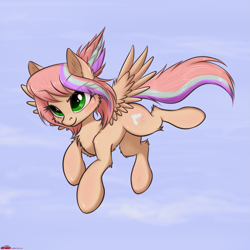 Size: 2165x2164 | Tagged: safe, artist:orang111, oc, oc only, oc:sweet skies, species:pegasus, species:pony, female, flying, mare, solo