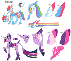Size: 2631x2251 | Tagged: safe, artist:xenon, character:rainbow dash, character:twilight sparkle, character:twilight sparkle (alicorn), species:alicorn, species:pony, alternate cutie mark, alternate design, cloven hooves, coat markings, duo, female, glowing horn, leonine tail, magic, magic aura, mare, question mark, redesign, reference sheet, simple background, tail feathers, underhoof, unshorn fetlocks, white background