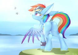 Size: 4240x3000 | Tagged: safe, artist:mistydash, character:rainbow dash, species:pegasus, species:pony, dock, female, flying, goggles, mare, plot, rainbutt dash, rear view, tail wrap, water