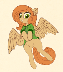 Size: 1214x1401 | Tagged: safe, artist:lunebat, oc, oc only, oc:camber, species:pegasus, species:pony, clothing, featureless crotch, female, hoodie, solo