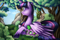 Size: 960x632 | Tagged: safe, artist:emositecc, artist:sdmlp8184, character:spike, character:twilight sparkle, character:twilight sparkle (alicorn), species:alicorn, species:dragon, species:pony, collaboration, colored wings, colored wingtips, female, forest, grass, mama twilight, mare, tree, wing shelter