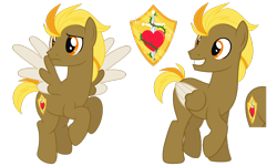 Size: 1600x957 | Tagged: safe, artist:missmele-madness, oc, oc:valiant heart, species:pegasus, species:pony, male, reference sheet, simple background, solo, stallion, transparent background