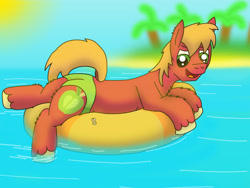 Size: 4032x3024 | Tagged: safe, artist:tacomytaco, character:big mcintosh, species:earth pony, species:pony, clothing, inner tube, male, solo, speedo, swimsuit, water