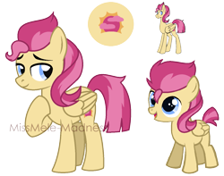 Size: 1297x1020 | Tagged: safe, artist:missmele-madness, oc, oc only, oc:scarlett dawn, parent:flash sentry, parent:sunset shimmer, parents:flashimmer, species:pegasus, species:pony, female, filly, mare, offspring, reference sheet, simple background, solo, transparent background