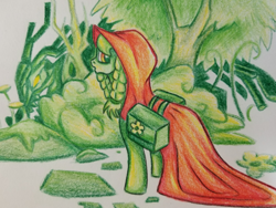 Size: 2048x1536 | Tagged: safe, artist:smirk, character:granny smith, species:pony, colored pencil drawing, everfree forest, female, green, looking back, mare, predator, red riding hood, saddle bag, timber wolf, traditional art, younger