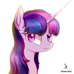 Size: 720x720 | Tagged: safe, artist:zidanemina, character:twilight sparkle, character:twilight sparkle (unicorn), species:pony, species:unicorn, bust, ear fluff, female, frown, looking at you, mare, portrait, sharp horn, signature, simple background, solo, white background