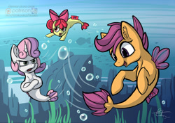 Size: 1280x905 | Tagged: safe, artist:cafecomponeis, character:apple bloom, character:scootaloo, character:sweetie belle, species:pegasus, species:pony, species:seapony (g4), episode:surf and/or turf, g4, my little pony: friendship is magic, bubble, crossed hooves, cutie mark crusaders, grumpy belle, ocean, open mouth, sea-mcs, seaponified, seapony apple bloom, seapony scootaloo, seapony sweetie belle, signature, species swap, speedpaint available, underwater