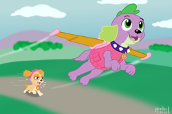 Size: 1500x1000 | Tagged: safe, artist:phallen1, character:spike, character:spike (dog), species:dog, my little pony:equestria girls, chase, collar, crossover, equestria girls-ified, flying, goggles, helmet, jetpack, paw patrol, skye (paw patrol), spike's dog collar, winged spike, wings