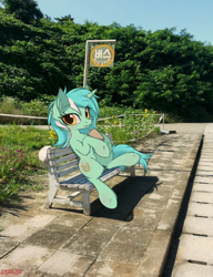 Size: 1538x2000 | Tagged: safe, artist:orang111, character:lyra heartstrings, species:pony, species:unicorn, bench, bus stop, drink, female, fluffy, irl, korean, looking at you, mare, meme, photo, ponies in real life, real life background, sitting, sitting lyra, solo, straw