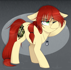 Size: 1175x1150 | Tagged: safe, artist:higgly-chan, oc, oc:shank, species:earth pony, species:pony, covering, dog tags, one eye closed, rain, solo