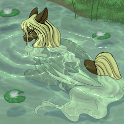 Size: 800x800 | Tagged: safe, artist:foxenawolf, oc, oc only, oc:ickle muse, species:pegasus, species:pony, female, looking at you, looking back, looking back at you, partially submerged, solo, unshorn fetlocks, water, water lily