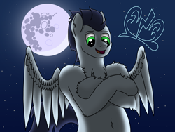 Size: 4032x3024 | Tagged: safe, artist:tacomytaco, character:soarin', species:pegasus, species:pony, belly button, bipedal, chest fluff, crossed arms, fluffy, full moon, male, mare in the moon, moon, night, spread wings, stars, wings