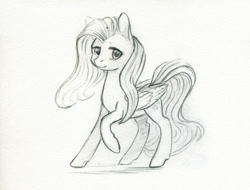 Size: 1100x836 | Tagged: safe, artist:maytee, character:fluttershy, species:pegasus, species:pony, female, grayscale, mare, monochrome, pencil drawing, raised hoof, simple background, sketch, solo, traditional art, white background
