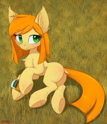 Size: 1900x2204 | Tagged: safe, artist:orang111, oc, oc only, oc:sweet corn, species:earth pony, species:pony, blank flank, can, chest fluff, corn, dock, ear fluff, female, fluffy, food, grass, korean, lying down, mare, smiling, solo