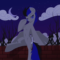 Size: 1280x1280 | Tagged: safe, artist:hoverrover, oc, oc only, oc:knight smile, species:pegasus, species:pony, cloud, glasses, hooves, lineless, male, night, night sky, sitting, sky, solo, stallion, stars, wings