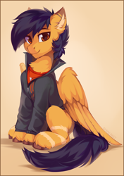 Size: 2255x3205 | Tagged: safe, artist:share dast, oc, oc only, oc:ramiras, species:pegasus, species:pony, clothing, looking at you, male, sitting, solo, stallion, unshorn fetlocks