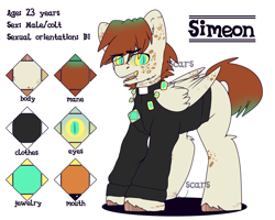 Size: 2500x2000 | Tagged: safe, artist:etoz, oc, oc only, oc:simeon, species:pegasus, species:pony, clothing, eyebrow piercing, eyebrows, fangs, jewelry, male, open mouth, piercing, reference sheet, religion, scar, solo, stallion, tongue piercing