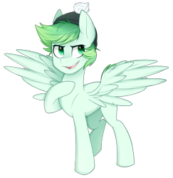 Size: 1164x1200 | Tagged: safe, artist:higgly-chan, oc, oc only, oc:emerald flow, species:pegasus, species:pony, beanie, clothing, commission, hat, male, multicolored hair, simple background, smiling, smirk, solo, spread wings, stallion, transparent background, wings