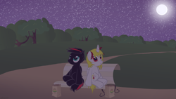 Size: 3840x2160 | Tagged: safe, artist:agkandphotomaker2000, oc, oc only, oc:arnold the pony, oc:lucia nightblood, species:pony, bench, looking up, moon, night out, park, starry night, stars, tree