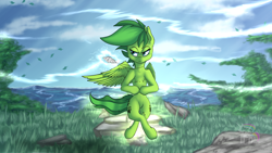 Size: 1440x810 | Tagged: safe, artist:cafecomponeis, oc, oc only, oc:evergreen feathersong, species:pegasus, species:pony, commission, elemental, elemental pony, grass, jewelry, leaves, magic, scenery, serious, serious face, signature, solo, wind, ych result