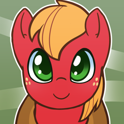 Size: 1000x1000 | Tagged: safe, artist:puetsua, character:big mcintosh, species:earth pony, species:pony, abstract background, avatar, bust, looking at you, male, portrait, solo, stallion, younger