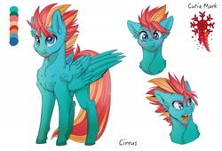 Size: 2499x1702 | Tagged: safe, artist:tillie-tmb, oc, oc:cirrus sky, species:pegasus, species:pony, male, reference sheet, simple background, solo, stallion, white background