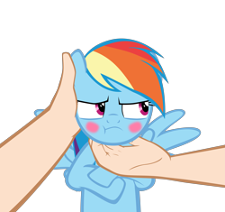 Size: 10417x9775 | Tagged: safe, artist:mrkat7214, character:rainbow dash, species:human, species:pegasus, species:pony, :t, absurd resolution, blushing, chin scratch, cute, dashabetes, hand, human on pony petting, offscreen character, offscreen human, petting, pov, rainbow dash is not amused, show accurate, simple background, spread wings, transparent background, tsunderainbow, tsundere, unamused, vector, wings