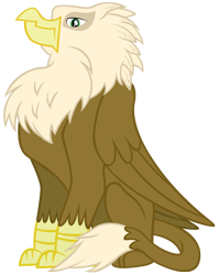 Size: 3000x3762 | Tagged: safe, artist:boneswolbach, oc, oc only, unnamed oc, species:griffon, .ai available, griffon oc, male, simple background, sitting, solo, transparent background, vector