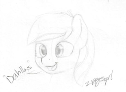 Size: 351x257 | Tagged: safe, artist:zippysqrl, oc, oc only, oc:moonlit ace, species:pegasus, species:pony, accent, bronycon, bronycon 2019, bust, explicit source, male, monochrome, open mouth, portrait, signature, simple background, sketch, sketchbook, stallion, white background