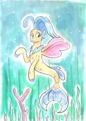 Size: 2475x3501 | Tagged: safe, artist:raph13th, character:princess skystar, species:seapony (g4), g4, my little pony: the movie (2017), bubble, coral, coral reef, cute, featured on derpibooru, female, freckles, high res, jewelry, kelp, missing accessory, necklace, ocean, pearl necklace, seaweed, skyabetes, smiling, solo, spread wings, swimming, traditional art, under the sea, underwater, water, watercolor painting, wings