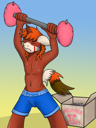 Size: 3024x4032 | Tagged: safe, artist:tacomytaco, oc, oc only, oc:kai, species:anthro, species:pony, species:unicorn, armpits, belly button, box, clothing, eyes closed, gradient background, male, partial nudity, ponified, shorts, solo, sweat, topless, underwear, weight lifting, weights