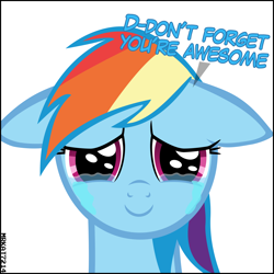 Size: 4000x4000 | Tagged: safe, artist:mrkat7214, character:rainbow dash, species:pegasus, species:pony, absurd resolution, closed mouth, crying, cute, dashabetes, dawwww, dialogue, end of ponies, feels, female, floppy ears, happy, looking at you, mare, puppy dog eyes, sad, sadorable, simple background, smiling, smiling at you, solo, stuttering, sweet dreams fuel, talking to viewer, tears of joy, teary eyes, vector, white background