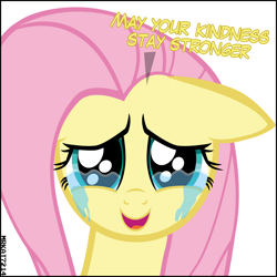 Size: 4000x4000 | Tagged: safe, artist:mrkat7214, character:fluttershy, species:pegasus, species:pony, absurd resolution, crying, cute, dawwww, dialogue, end of ponies, feels, female, floppy ears, fluttercry, happy, looking at you, mare, open mouth, puppy dog eyes, sad, sadorable, shyabetes, simple background, smiling, smiling at you, solo, sweet dreams fuel, talking to viewer, tears of joy, teary eyes, vector, white background