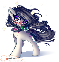 Size: 1000x1048 | Tagged: safe, artist:chaosangeldesu, character:octavia melody, species:earth pony, species:pony, blushing, cute, female, flower, flower in mouth, looking at you, mare, mouth hold, patreon, patreon logo, smiling, solo, tavibetes