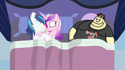 Size: 1362x761 | Tagged: safe, artist:mlp-silver-quill, edit, character:princess cadance, character:shining armor, species:pony, 1000 years in photoshop, after the fact, anime, bed, female, horn, horns are touching, implied sex, male, somepony sleeps next to shining armor and princess cadance