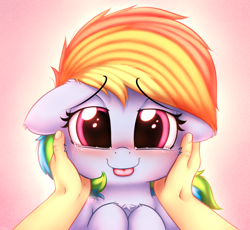 Size: 2500x2300 | Tagged: safe, artist:heavymetalbronyyeah, character:rainbow dash, species:human, species:pony, blep, blushing, bust, cheek fluff, chest fluff, crying, cute, dashabetes, dawwww, ear fluff, eyebrows, eyebrows visible through hair, female, floppy ears, high res, hooves to the chest, leg fluff, lidded eyes, looking at you, mare, offscreen character, offscreen human, pink background, portrait, simple background, tears of joy, tongue out