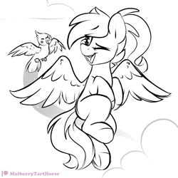 Size: 2000x2000 | Tagged: safe, artist:mulberrytarthorse, oc, oc only, oc:acela, species:bird, species:pegasus, species:pony, female, flying, mare, monochrome, one eye closed, patreon, patreon logo, pet, smiling, solo