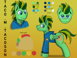 Size: 4032x3024 | Tagged: safe, artist:tacomytaco, oc, oc only, oc:taco.m.tacoson, species:pegasus, species:pony, clothing, gradient background, hoodie, male, reference sheet, solo