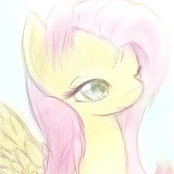 Size: 1000x1000 | Tagged: safe, artist:dshou, character:fluttershy, species:pegasus, species:pony, bust, colored pupils, female, mare, sketch, solo, spread wings, wings