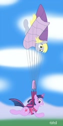 Size: 708x1413 | Tagged: safe, artist:phallen1, character:derpy hooves, character:twilight sparkle, species:pegasus, species:pony, species:unicorn, duo, duo female, entangled, falling, female, mare, parachute, sky, skydiving, worried