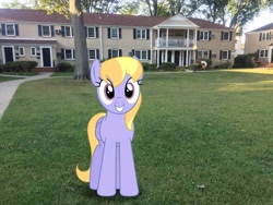 Size: 3264x2448 | Tagged: safe, artist:bluemeganium, edit, editor:topsangtheman, character:cloud kicker, species:pegasus, species:pony, grass, houses, irl, looking at you, photo, photoshop, ponies in real life, tree