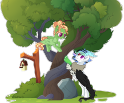 Size: 3190x2655 | Tagged: safe, artist:kurosawakuro, base used, oc, oc only, species:draconequus, species:pegasus, species:pony, bird house, colored pupils, female, high res, intertwined trees, male, mare, rock, simple background, transparent background, tree