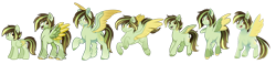 Size: 1024x238 | Tagged: safe, artist:ak4neh, oc, oc only, species:pegasus, species:pony, alternate design, female, folded wings, mare, multeity, multiple variants, redesign, simple background, solo, spread wings, transparent background, wings