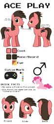 Size: 5000x11400 | Tagged: safe, artist:mrkat7214, character:pinkie pie, oc, oc only, oc:ace play, species:earth pony, species:pony, canon x oc, facial hair, female, goatee, male, mare, original species, pinkieplay, plush pony, plushie, reference sheet, semi-transparent, semi-transparent background, shipping, simple background, solo, stallion, straight